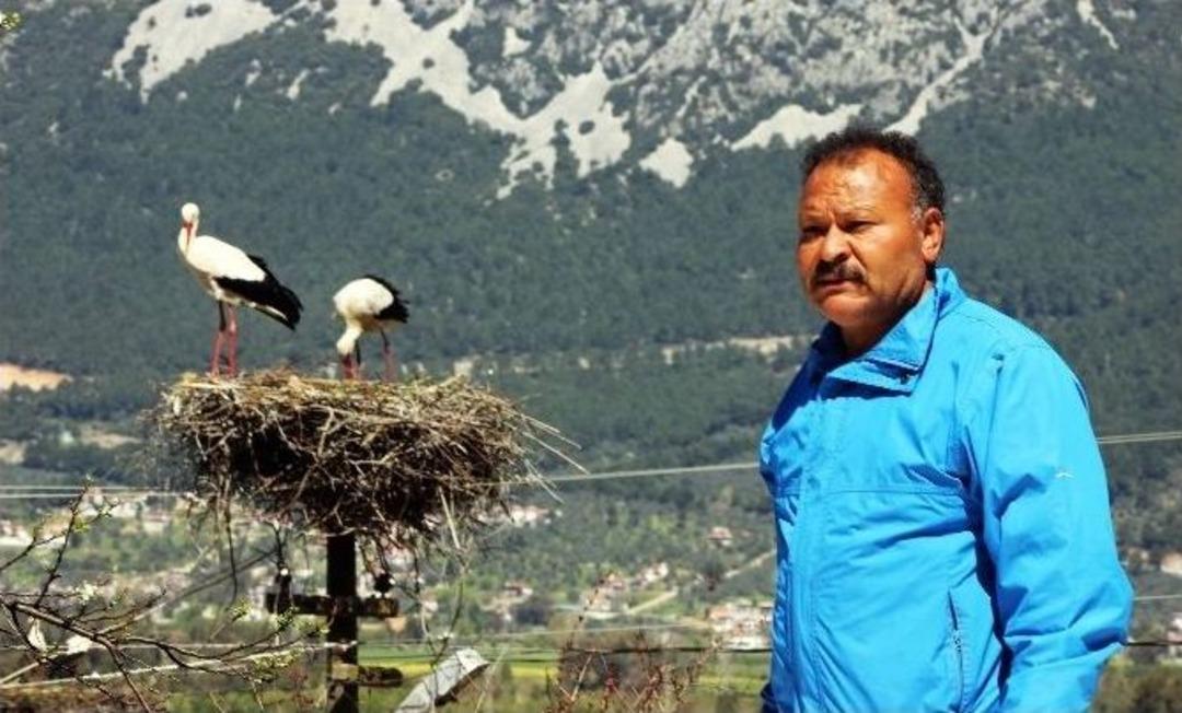 Leylekler Artık &Ouml;lmeyecek