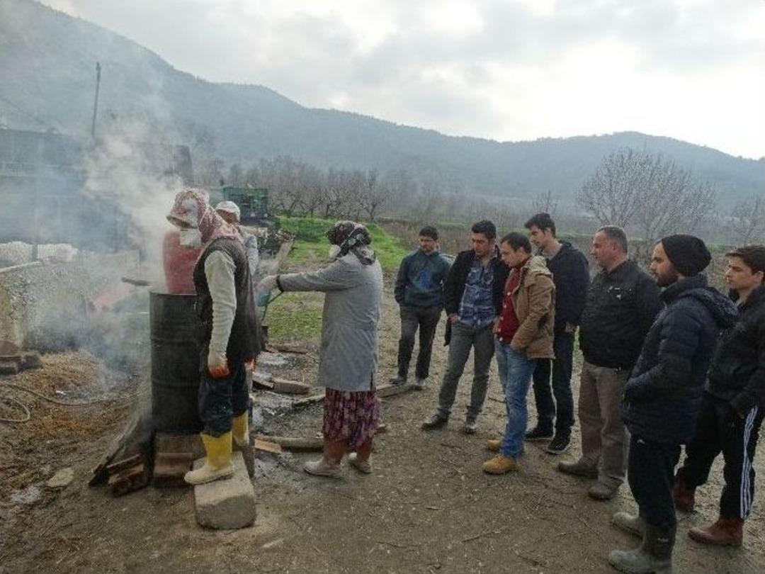 Bilecik Şeyh Edebali &Uuml;niversitesi&rsquo;nden Kayın Mantarı Yetiştiriciliği Kursu