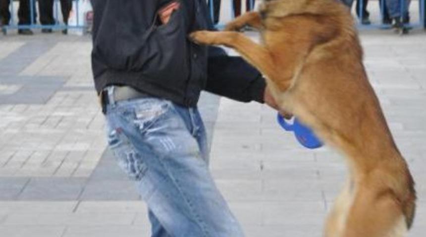 Polis K&ouml;peklerinin G&ouml;sterisi Ilgiyle Izlendi