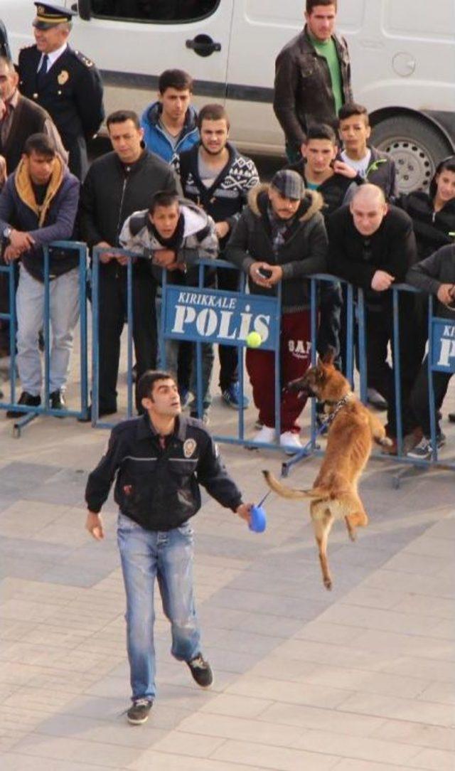 Polis Köpeklerinin Gösterisi Ilgiyle Izlendi