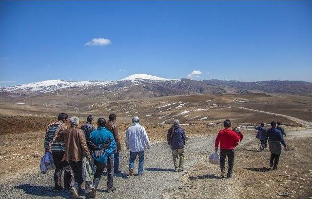 Ahlat&rsquo;ta Ayak Basmadık Yer Bırakmadılar 1