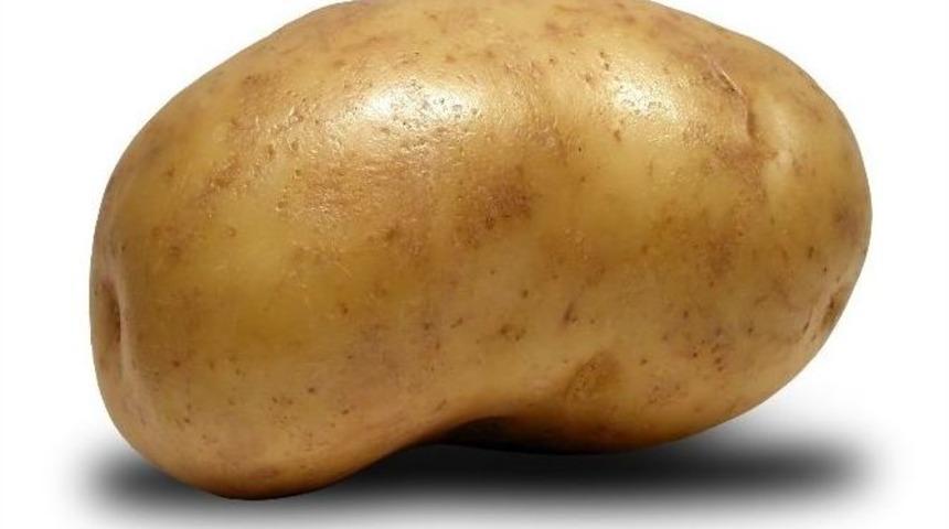 Pırasa Kanserden Koruyor!