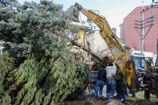 &Ouml;nce S&ouml;kt&uuml;ler Sonra Diktiler 1