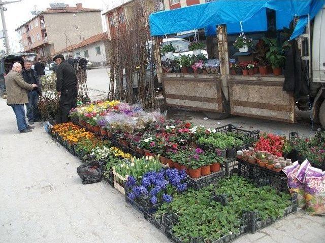 Pazarlar &Ccedil;i&ccedil;ek A&ccedil;tı 1