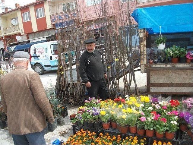 Pazarlar &Ccedil;i&ccedil;ek A&ccedil;tı 2