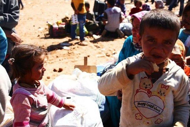 &ldquo;savaşın 5. Yılında Adana&rsquo;daki Suriyeliler Raporu&rdquo; 3