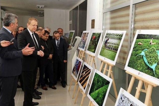 Gümüşhane’de Tarım Ve İnsan Konulu Fotoğraf Sergisi Açıldı