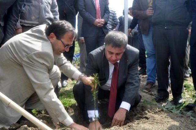 Şehit Savcı Kiraz ın Adı Hatıra Ormanında Yaşayacak 1