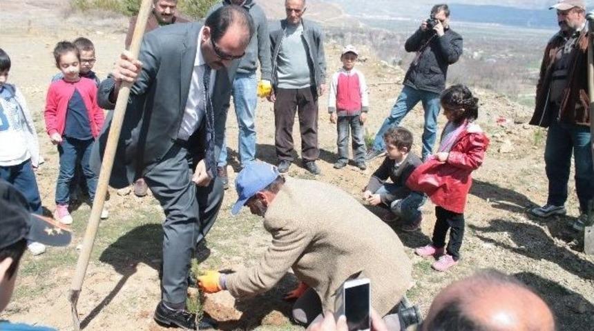 Kardeş Okullardan Sevgi Ormanı