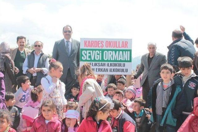 Kardeş Okullardan Sevgi Ormanı