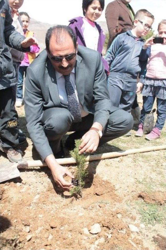 Kardeş Okullardan Sevgi Ormanı