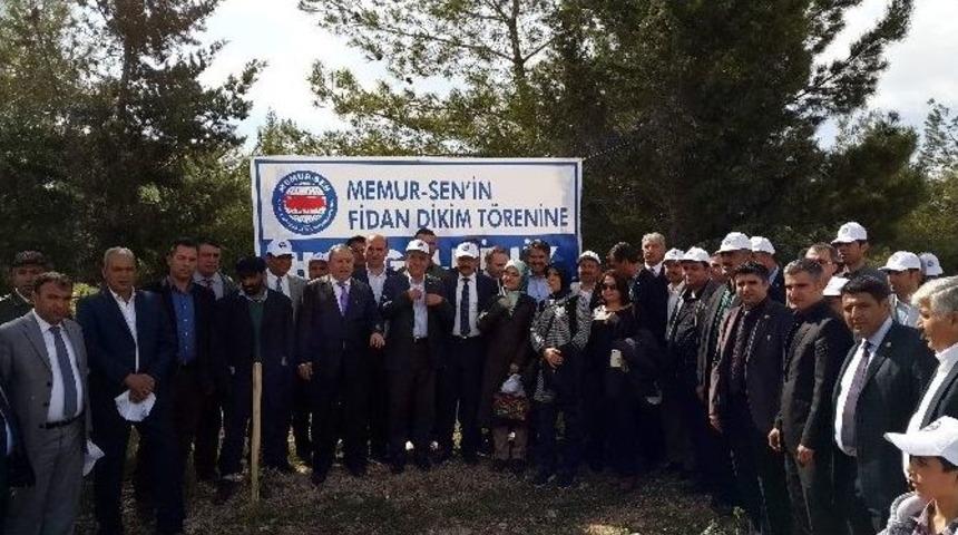 Memur-sen&rsquo;den &lsquo;bir Milyon &Uuml;ye İ&ccedil;in, Bir Milyon Fidan&rsquo;