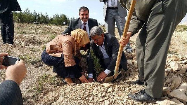 Memur-sen’den ‘bir Milyon Üye İçin, Bir Milyon Fidan’