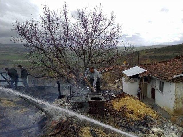 Tokat’ta Ahır Yangını: 2 Hayvan Telef Oldu