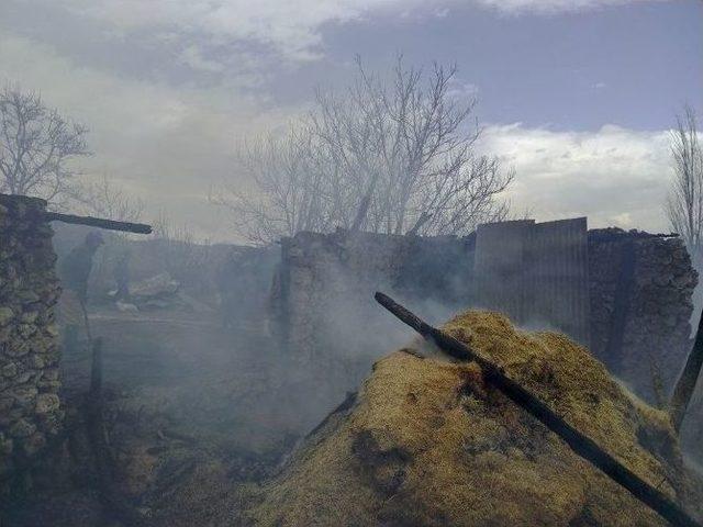 Tokat’ta Ahır Yangını: 2 Hayvan Telef Oldu