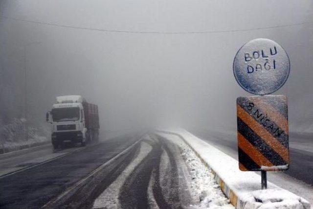 Bolu Dağı'nda Kar Ve Sis