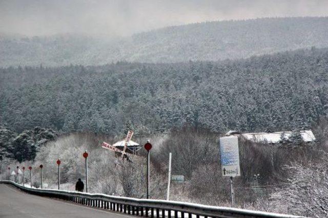 Bolu Dağı'nda Kar Ve Sis