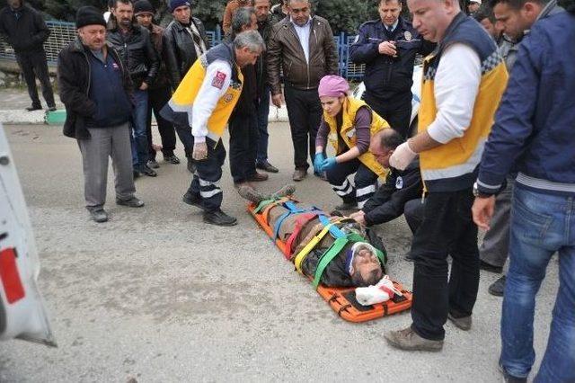 Karşıdan Karşıya Ge&ccedil;erken Simit&ccedil;iye Ara&ccedil; &Ccedil;arptı 1