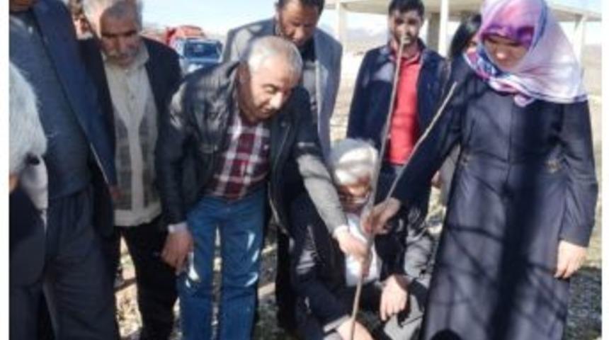 Erciş&rsquo;te Meyve Fidanı Dikimi