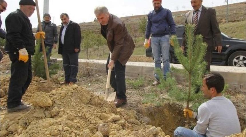 Yeşil Bayburt İ&ccedil;in &Ccedil;alışmalar Devam Ediyor