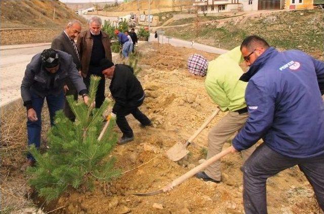 Yeşil Bayburt İçin Çalışmalar Devam Ediyor