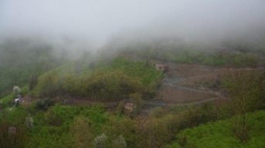 Belediye-vatandaş İşbirliğinde Mutlu Son