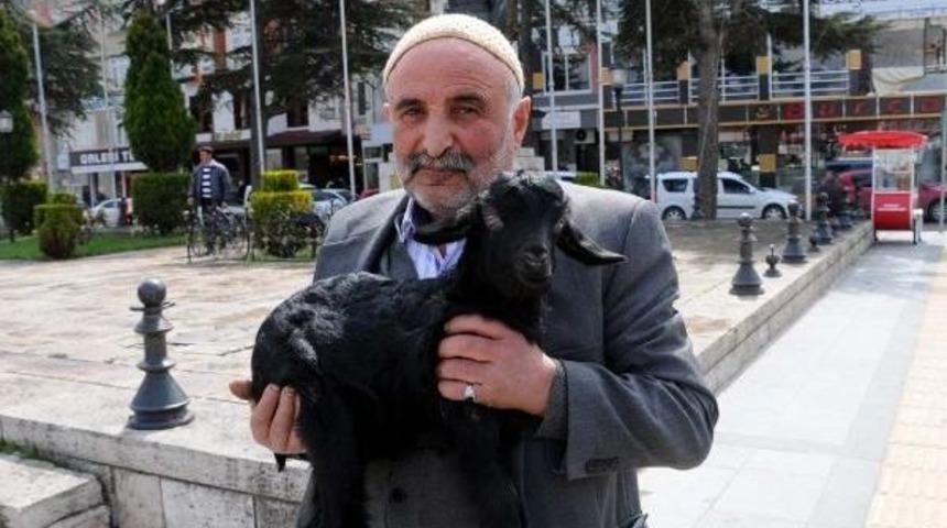 Hasta Oğlağı Kucağında Taşıdı