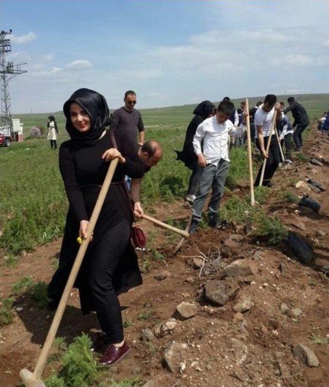 Uzuntarla Köyünde Hatıra Ormanı Oluşturuldu