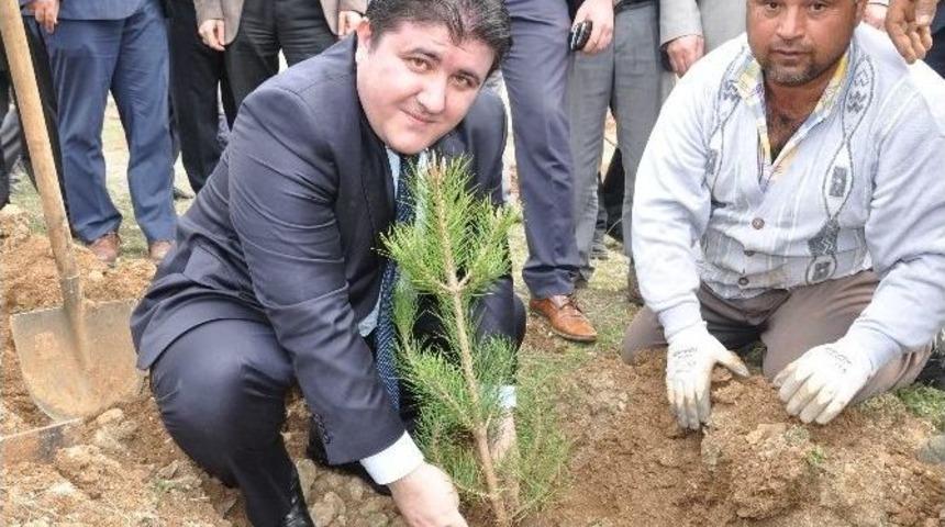 Ekin&ouml;z&uuml;&rsquo;nde 6 Bin Fidan Toprakla Buluştu