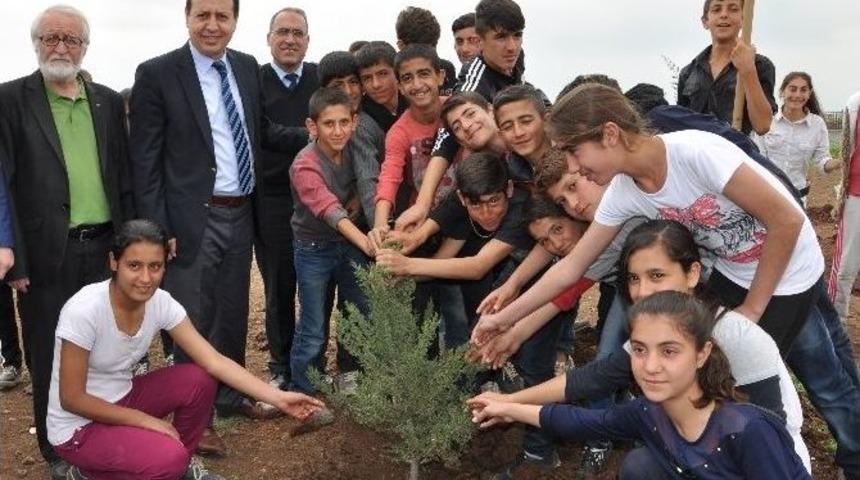 Kaymakam S&uuml;nd&uuml;k &Ouml;ğrencilerle Birlikte Fidan Dikti