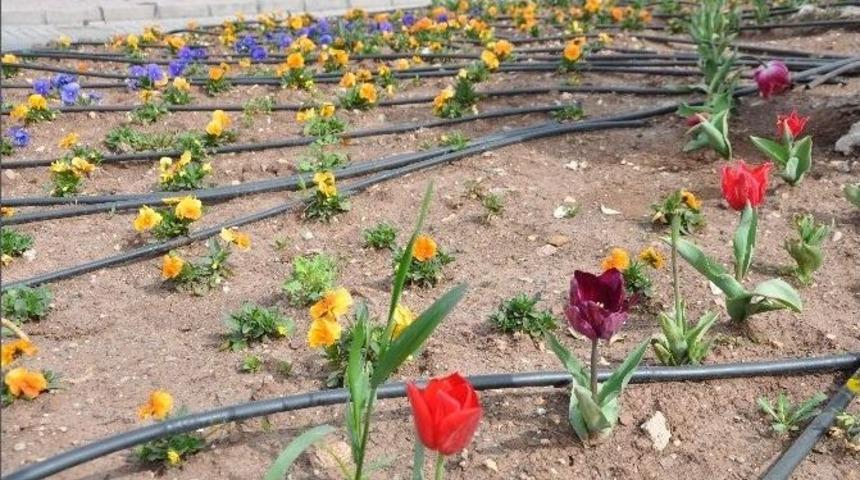 G&ouml;lbaşı İl&ccedil;esi Rengarenk Oldu
