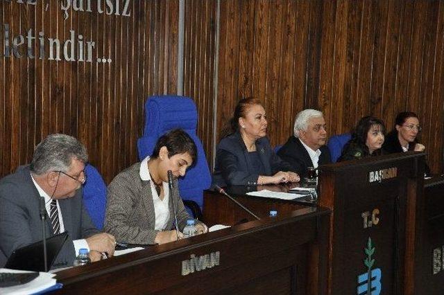 Edremit’in Zeytinlikleri 6 Yıllığına İcara Çıktı 2