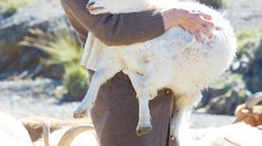 Kazaklarınız ger&ccedil;ekten %100 kaşmir mi? Mide bulandıran iddia