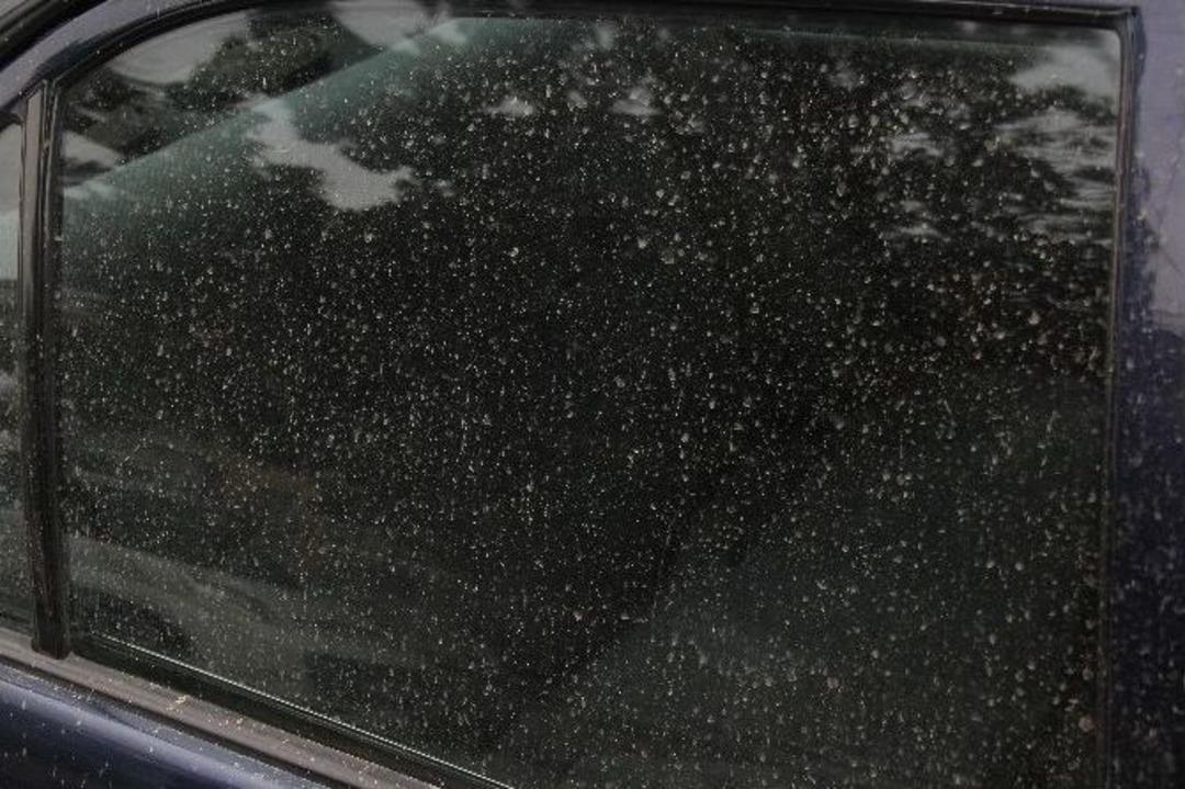 Adana&rsquo;da &Ccedil;amur Yağdı