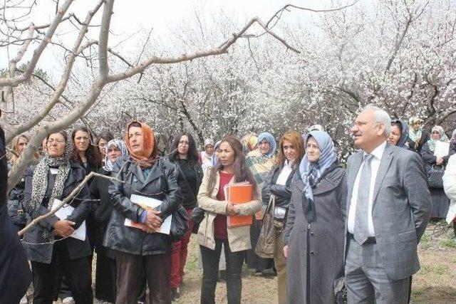 Kadın Çiftçiler Tarımsal Yeniliklerle Buluşuyor