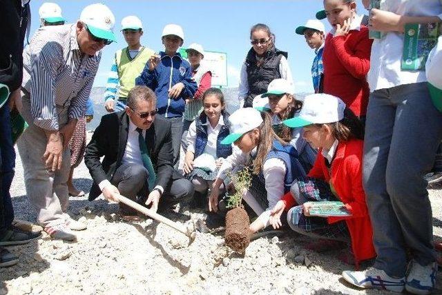 Terk Edilen Maden Sahaları Yeşillendiriliyor