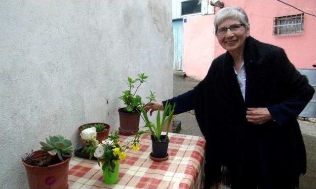 Tedavide 'kanserin Günlüğünü' Tuttu