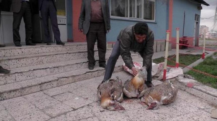 Muş'ta Toy Katliamı