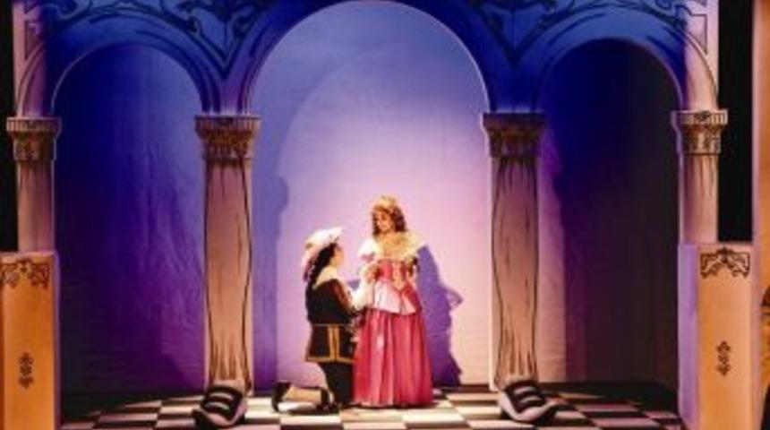 Şaşkın Koca Akm&rsquo;de Sahnelenecek