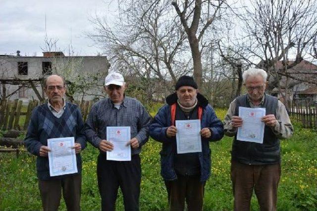 Kıyı Kenar Düzenlemesi 800 Tapuyu Iptal Ettirdi