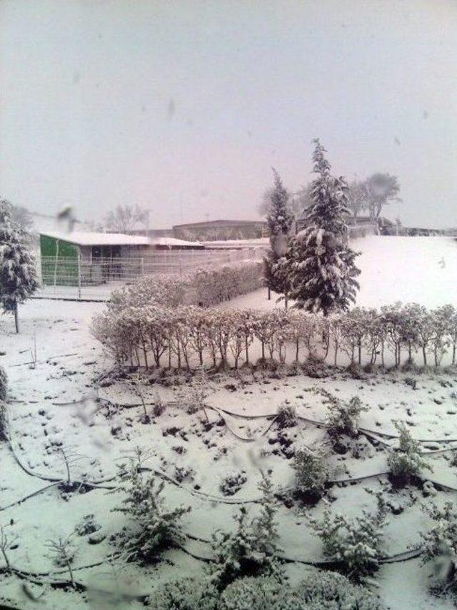 Kula’da Nisan Ayında Kar Şaşkınlığı 3