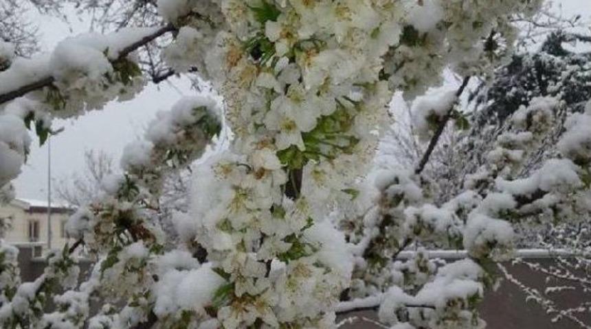 Denizli G&uuml;ne Karla Uyandı
