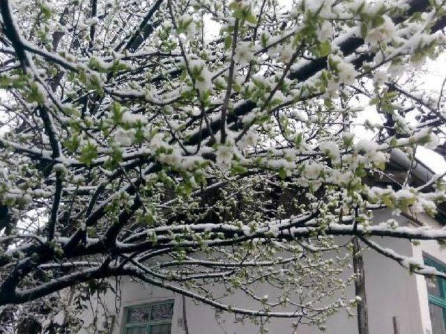 Denizli G&uuml;ne Karla Uyandı 2