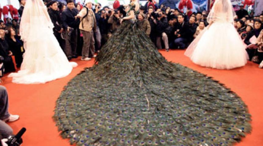 Tavus Kuşu Gelinlik