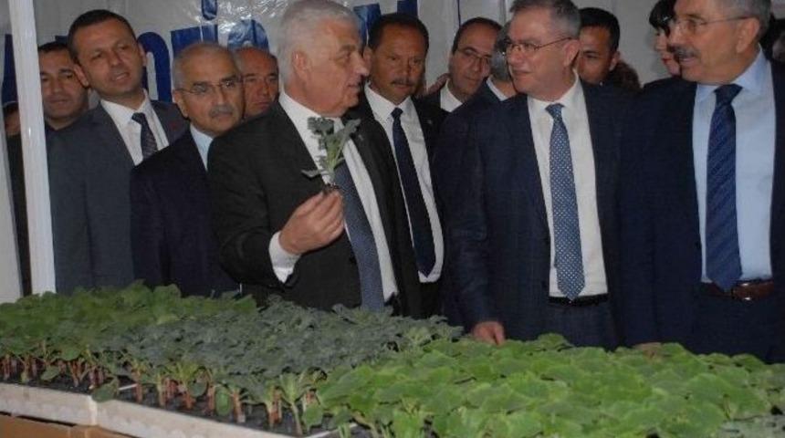 T&uuml;rkiye&rsquo;nin İlk &Ccedil;ift&ccedil;i Sergisi Fethiye&rsquo;de A&ccedil;ıldı