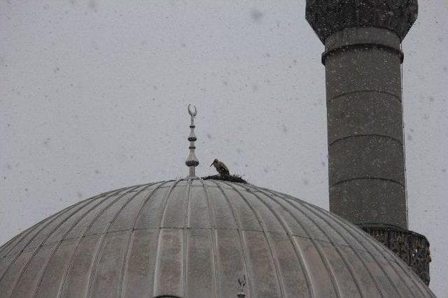 Beyşehir’de Lapa Lapa Kar Yağışı