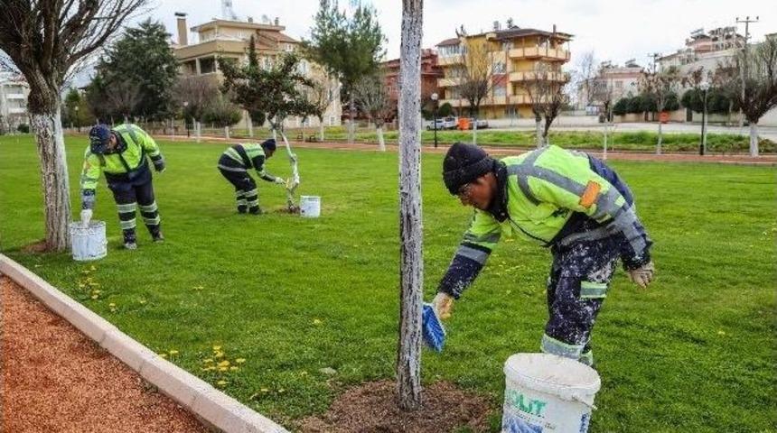 Şehitkamil&rsquo;de Bahar Hazırlığı