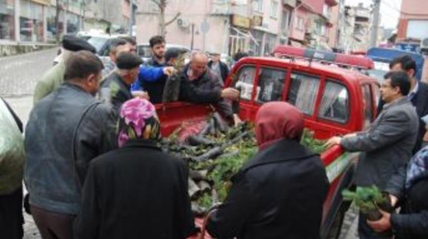 Orman İşletmesinden Bedava Fidan