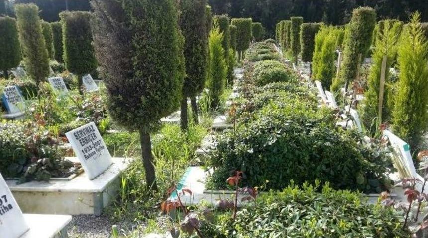 B&uuml;y&uuml;kşehir Turgutlu&rsquo;da Mezarlıkları Temizledi