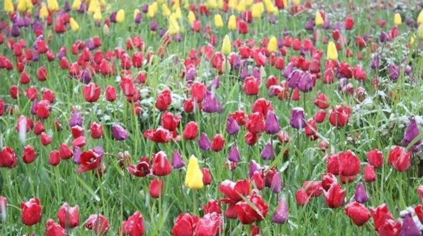 D&uuml;zce&rsquo;de Kar S&uuml;rprizi